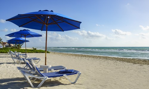 The Reef Playacar